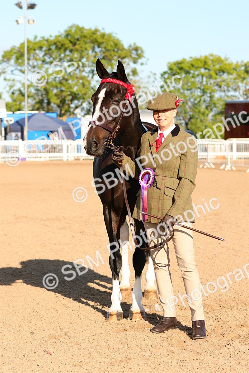 SBM_08096 - Class 201 - Best Turned Out - IH
