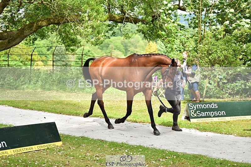 240522-150310-00060 - 302-BGS_LUX_ELECTRIC-Emily_Philp