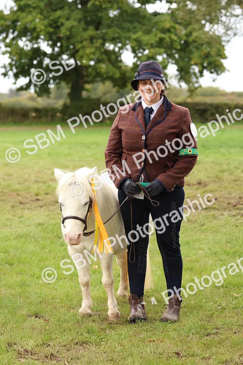 SBM_60000 - S36 - Rehabiliated Rescue Horse & Pony In Hand & Ridden