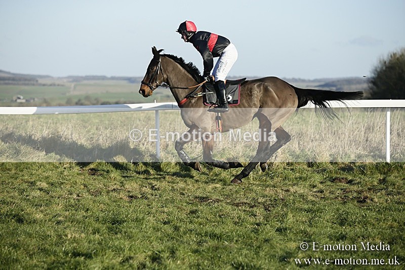 PtP 070118 -497 - Larkhill Racing Club Point to Point Larkhill 07/01/2018