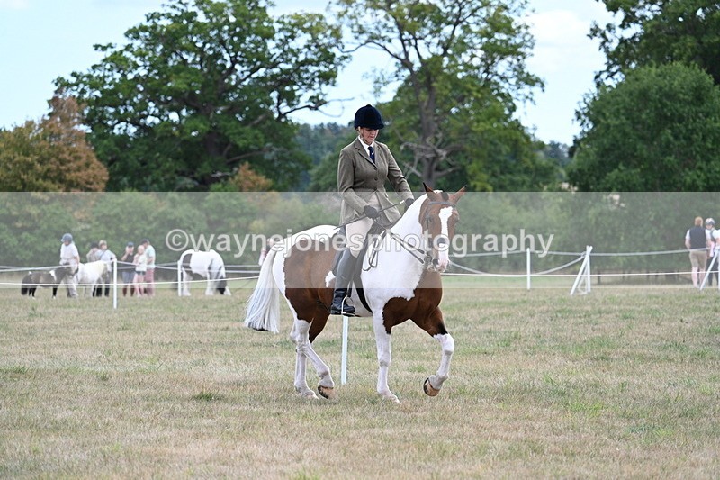 WJ7_5171 - Class 12 Ridden Cob