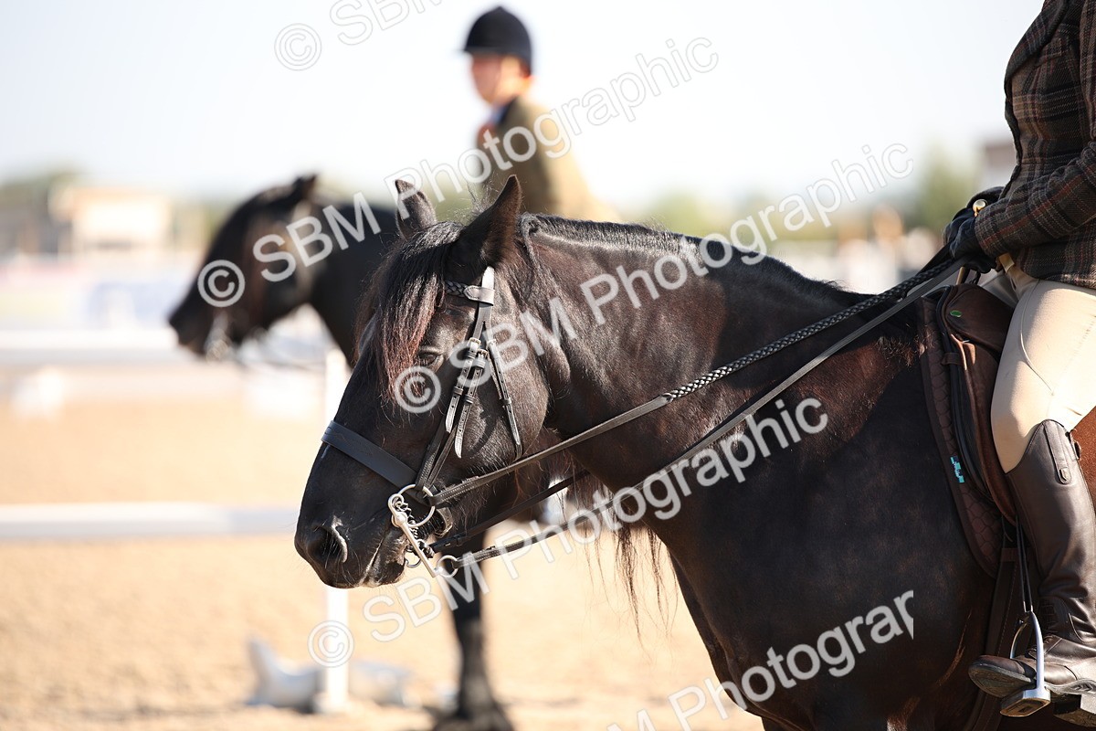 SBM_00722 - Class 14 Ridden M&M Wildcard