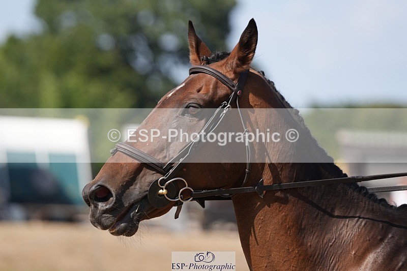 250822A-153632-23779 - WC Round 2 15.00 to 16.00