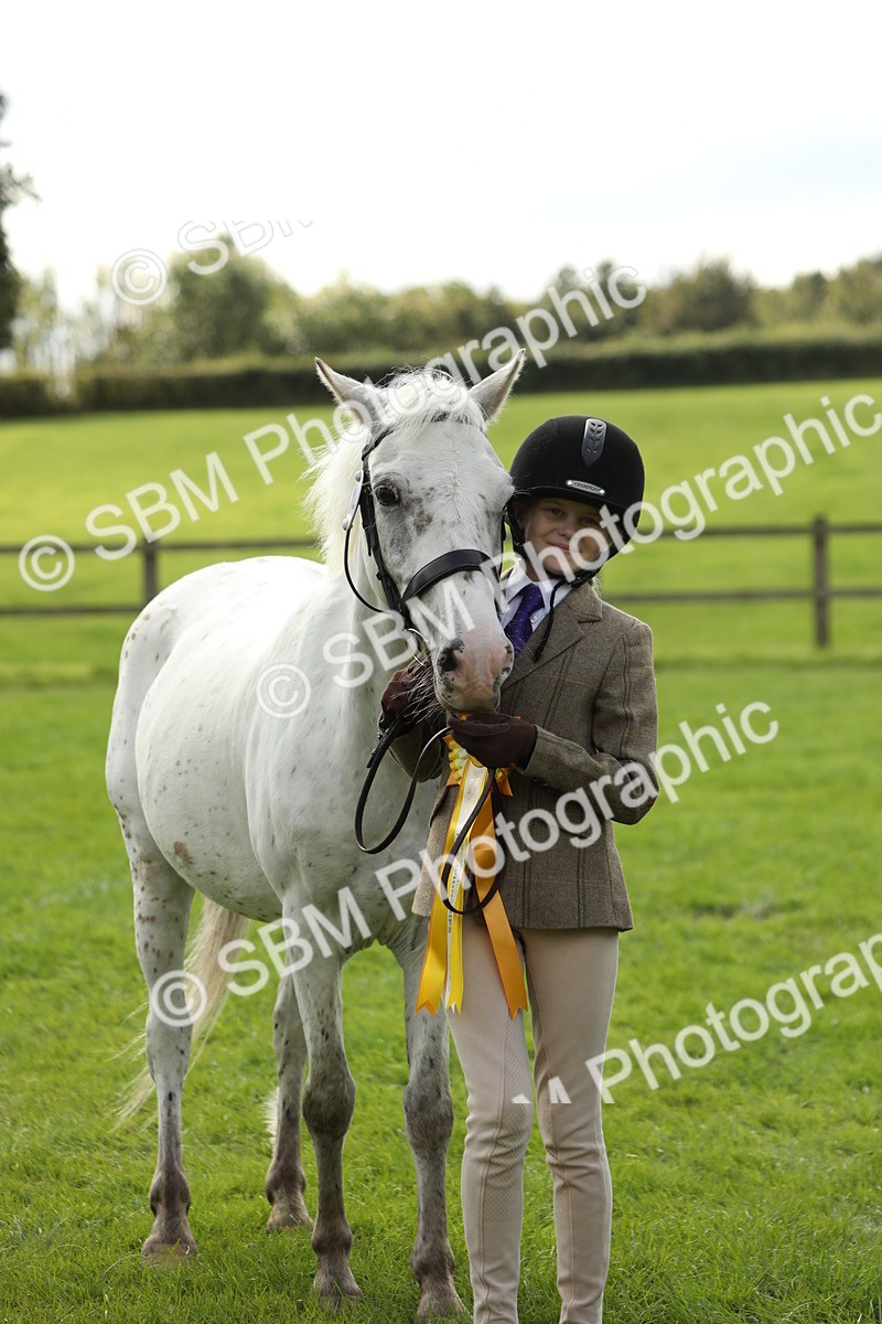 SBM_62877 - S46 - Mountain & Moorland In Hand Small Breeds