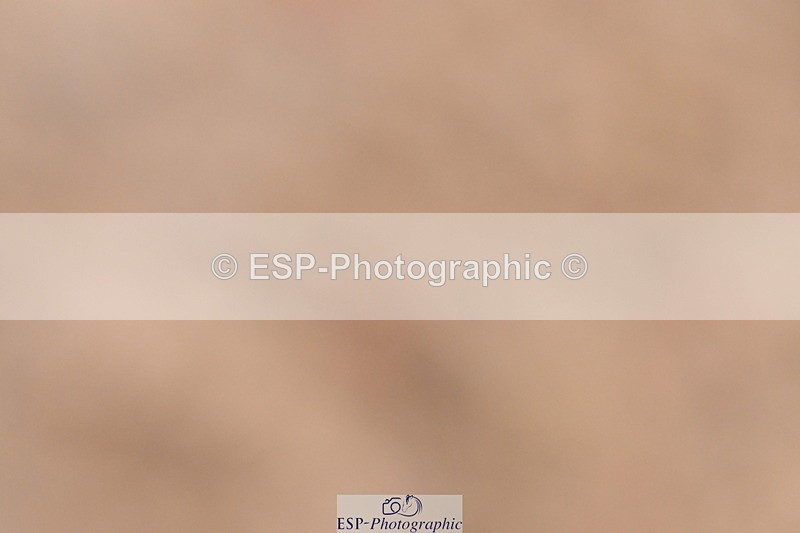 240121A-103604-00446 - Cls 5 Novice 37A