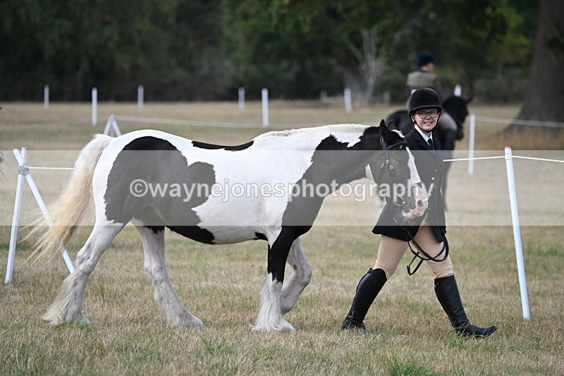 WJ6_6411 - Class 20 In-hand Cob