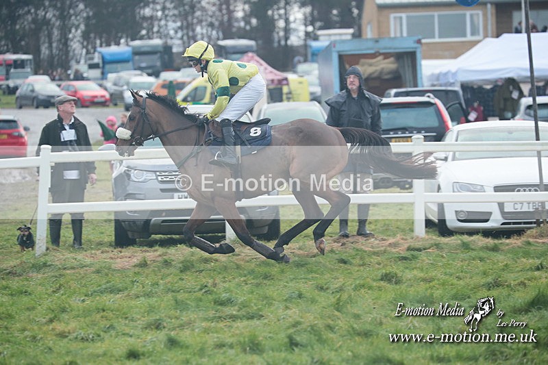 PtP 101223 784 - New Forest Hounds PtP Larkhill 10/12/23