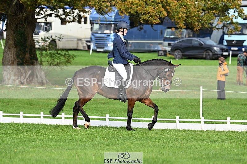 251023A-105820-02656 - G-511-Clara.Tuke