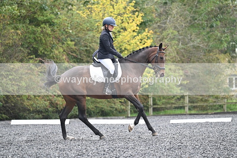 WJ7_3908 - Time 11:04 to 11:38