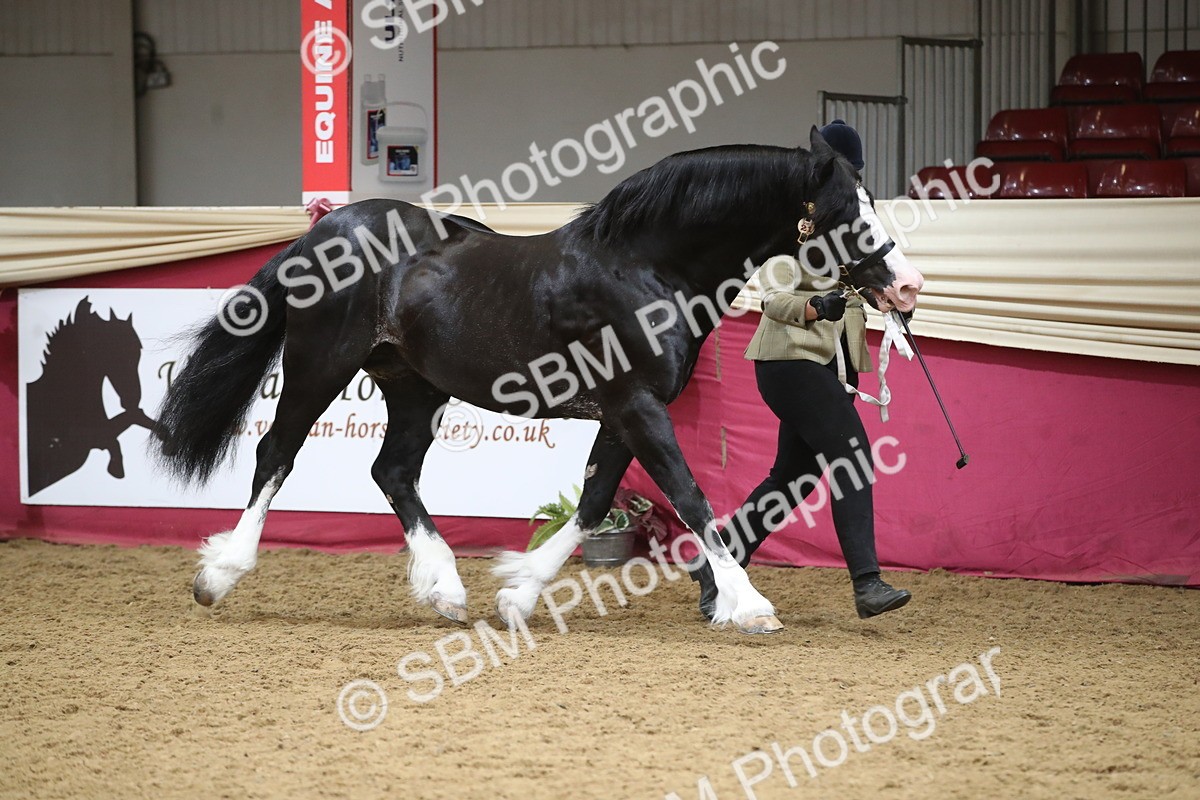 SBM_05271 - Class 8R - Regional IH Veteran