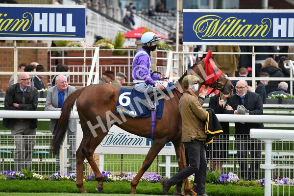 yr22052021r2-11 - Race 2 2.40pm William Hill Brontë Cup