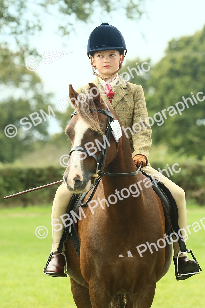 SBM_69994 - S59 - Mountain & Moorland Ridden Small Breeds
