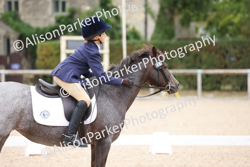 20250819-0906 - Class 2 - Prelim 1