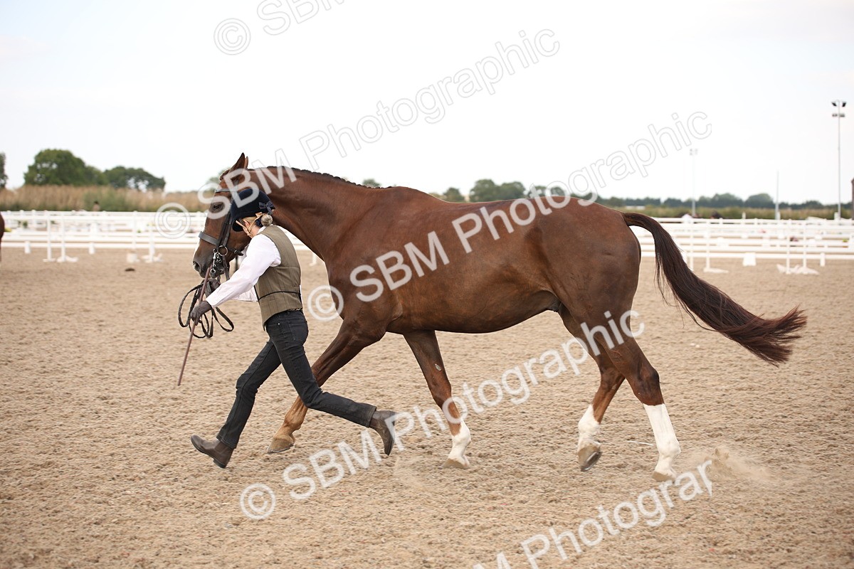 SBM_08213 - Class 27 - IH Competition Horse-Pony