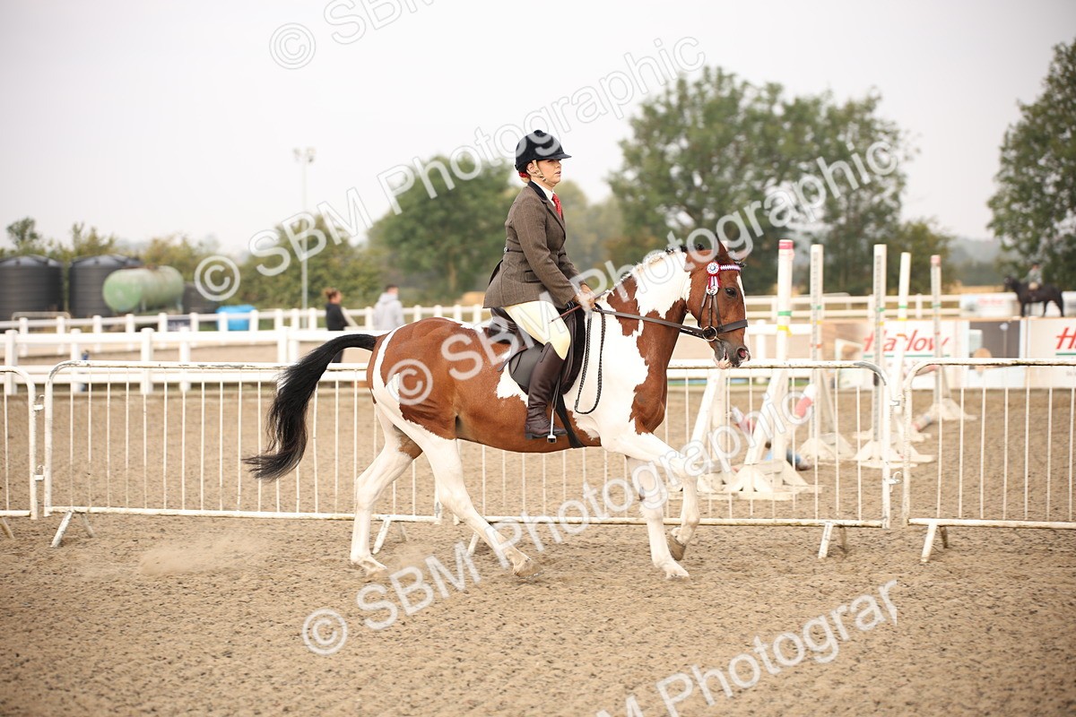 SBM_09733 - Class 401 Riding Club Pony