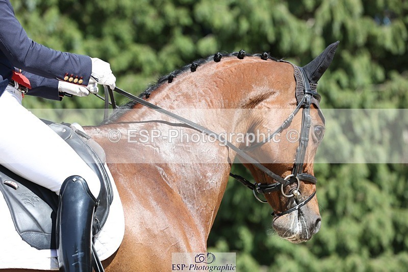 230526-152605-06697 - 381-CAROLINES_AIR_KM-Izzy_Taylor-WEDTrotUp+DR