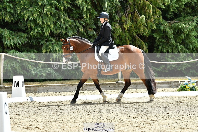 260801A-124430-04042 - Prelim Bronze Break - End