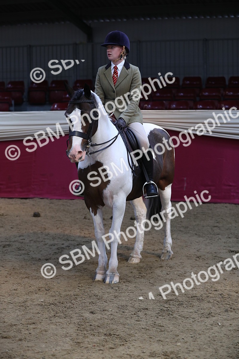 SBM_08369 - Class 11R Regional Ridden Veteran