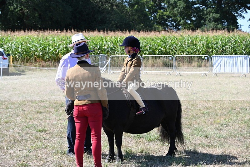 WJ6_8070 - Class 36 Lead Rein