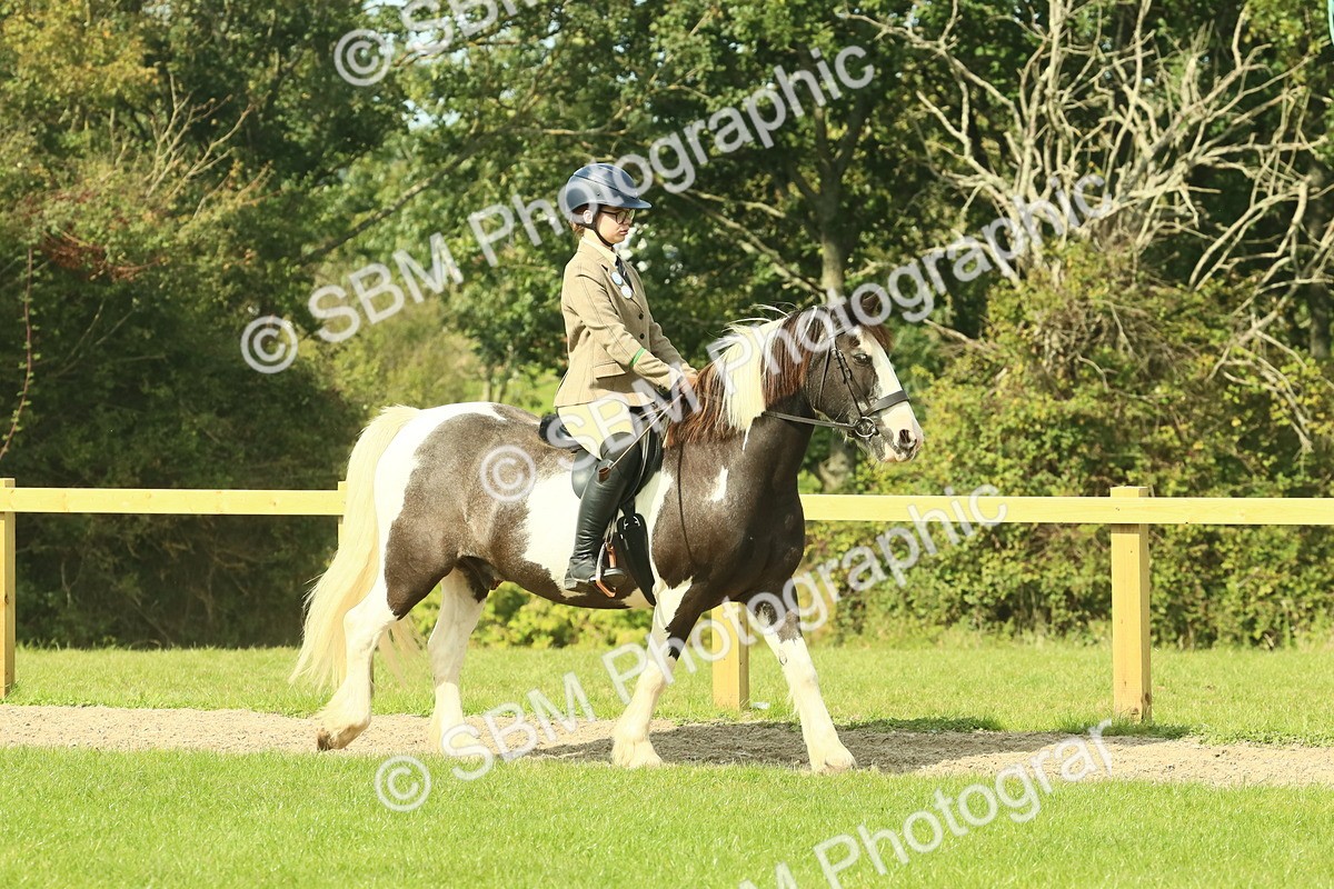 SBM_67391 - S56 - Coloured Pony Ridden