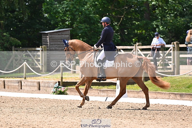 250523A-113704-06595 - C-273-Tim.Cheffings-HEARSAY.LARK.RISING