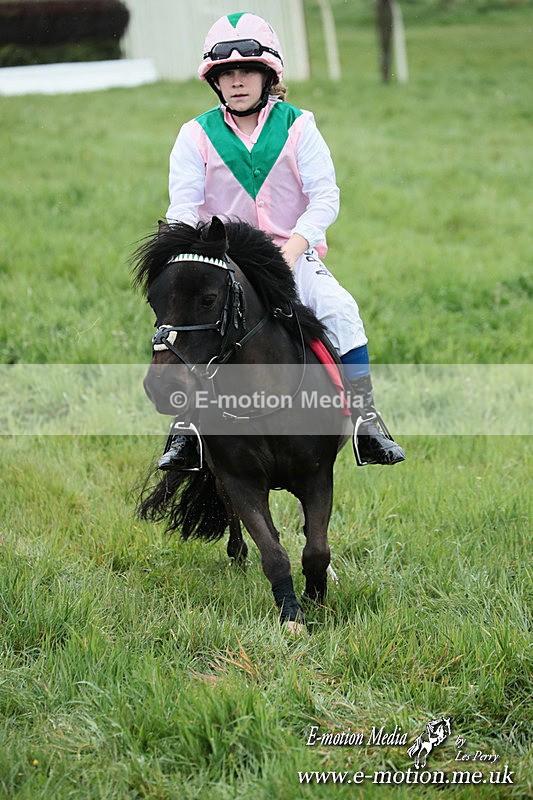 SHETPR 210425 239 - Shetland Ponies Paxford Races 21/04/25