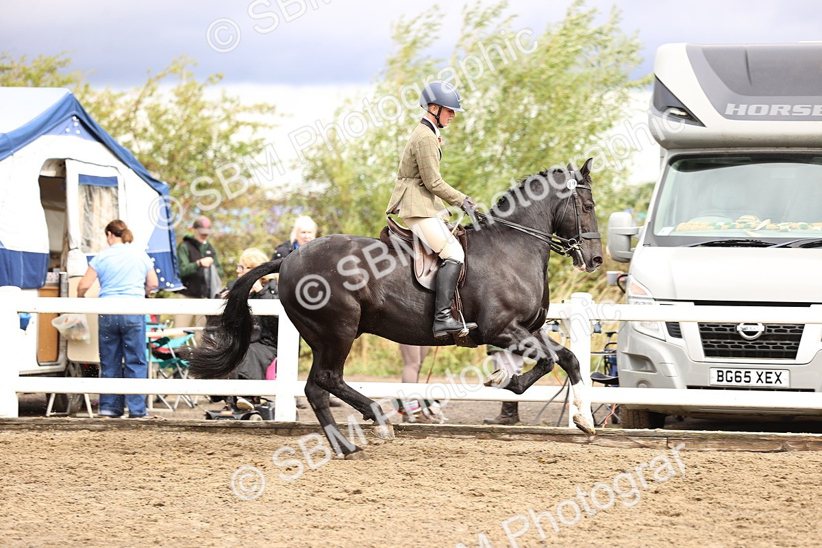SBM_00577 - Class 53 - Ridden Competition Horse Pony