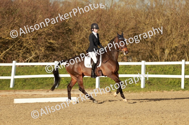 20260314-6366 - CT7 - Elementary 2