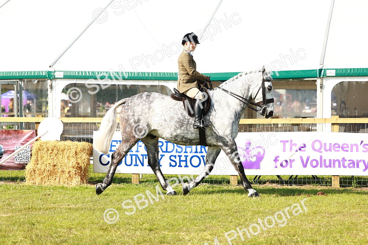 SBM_11744 - Class 66-69 - RIHS Ridden Hunters Inc Small Hunter