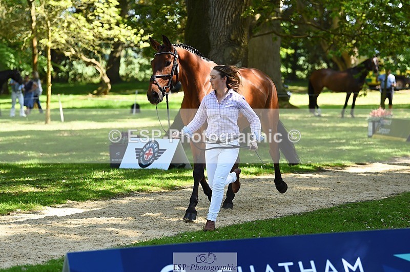 230524-152730-00280 - 329-VINTAGE_GRAFFITI-Alice_Hallows-WEDTrotUp+DR