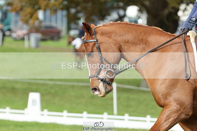 251024A-134802-12667 - H-654-Philippa.Skelton