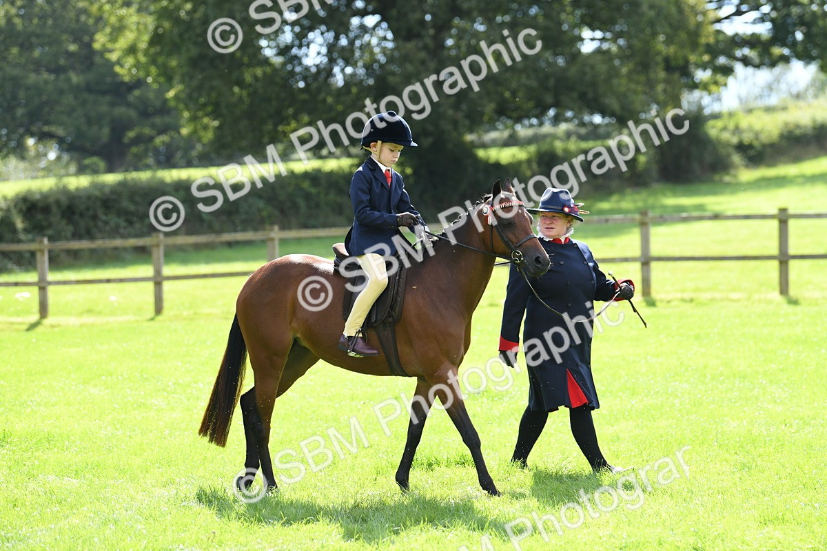 SBM_41130 - S19 - Lead Rein Show & Show Hunter Pony