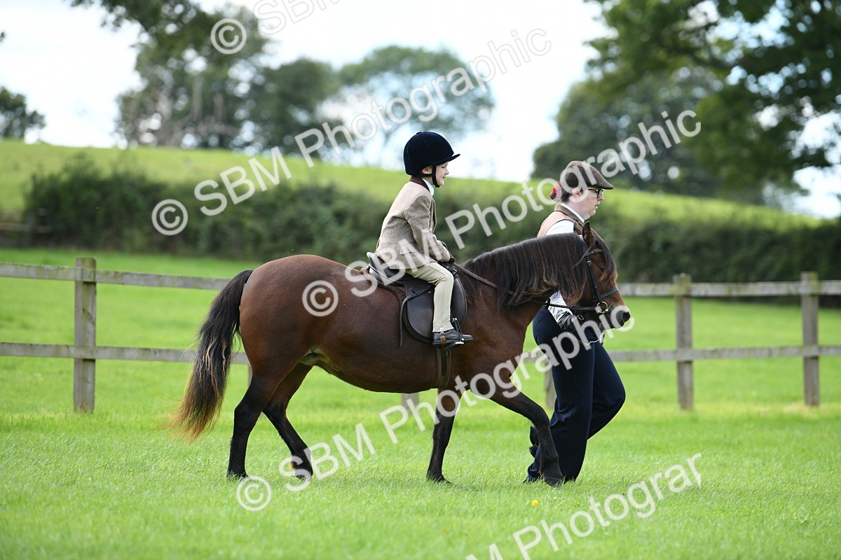 SBM_42454 - S20 - Lead Rein Mountain & Moorland Pony