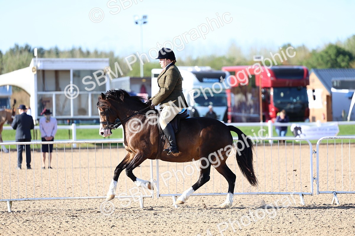 SBM_08786 - Class 302 - Ridden M&M - Large Breeds