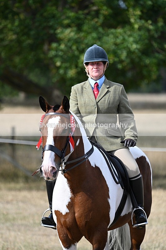 WJ7_7852 - Ridden Championship