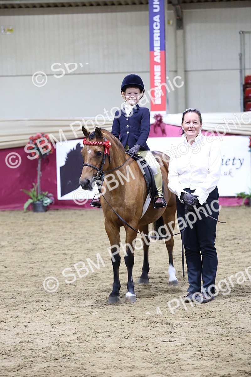 SBM_20929 - Class M - Equitation Champ