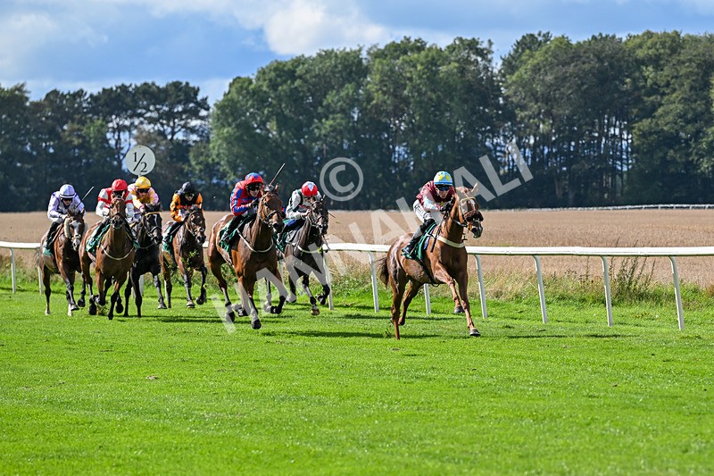 140926-Race 1-Satyress-6596 - Race 1 2.21pm Constant Security Services Apprentice Handicap