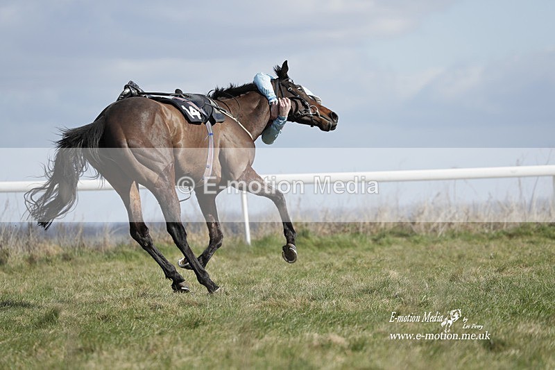 PtP 260223 505 - South & West Wilts Point-to-Point Larkhill 26/02/23