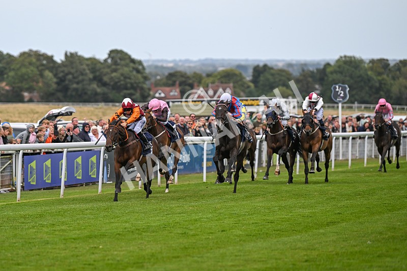 250824-Race 5-Lincoln Rockstar-3644 - Race 5