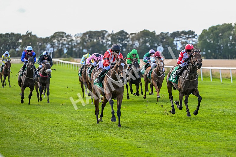 140926-Race 2-Bladey Lady-6807 - Race 2 2.51pm Patrick Hibbert-Foy Memorial Nursery Handicap