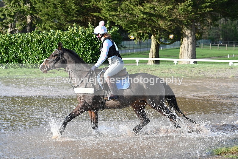 WJ7_8984 - Time 11:14 to 11:17