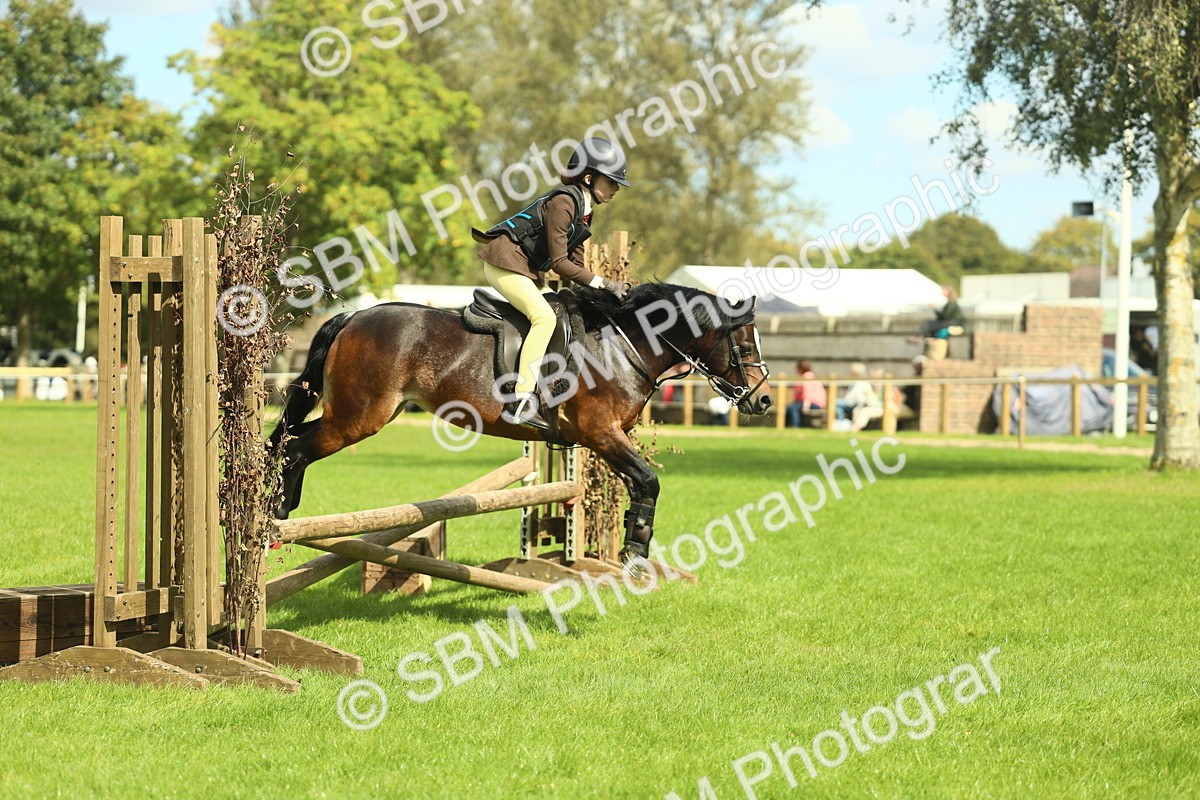 SBM_42746 - S30 - M&M Working hunter Pony