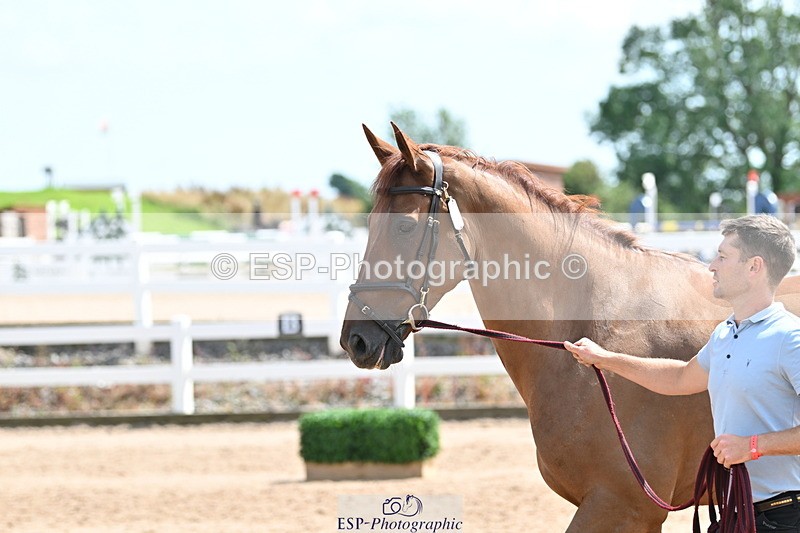 240717A-150003-02421 - Trot Up 3pm to 4pm