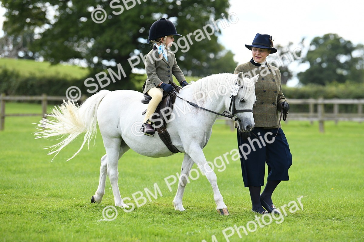 SBM_42424 - S20 - Lead Rein Mountain & Moorland Pony