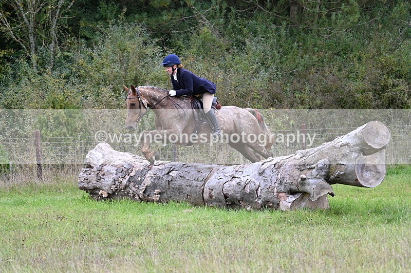 WJ7_3887 - Camera 1 Line 1