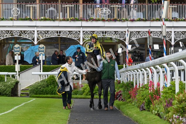 150624-Race 4-Jamess Delight-7435 - Race 4 3.35pm Churchill Tyres Supporting Macmillan Sprint Handicap