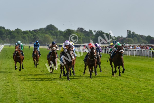 270523-Race 6-Quantum Impact-4541 - Race 6 4.25pm Royal Yorkshire Regiment Handicap