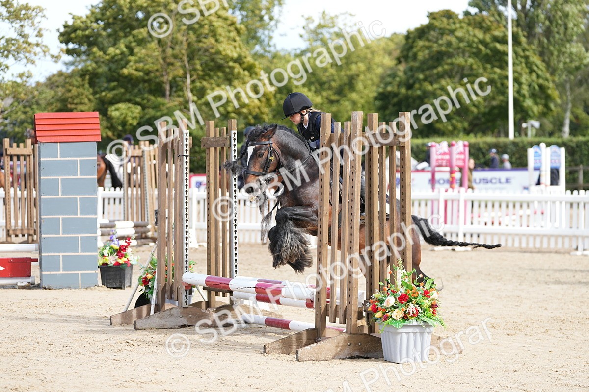 SBM_20626 - J49 - Open 50cm