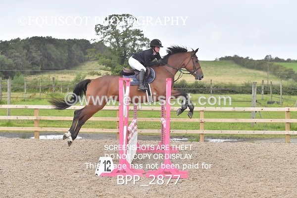 BPP_2877 - CLASS 2 Club/ Unaffiliated 80cms Open