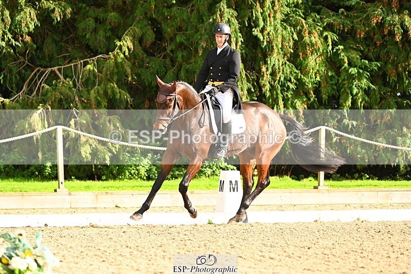 231020-144459-10343 - 210-TREGARON-Gubby.Leech-DR